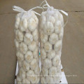 Pure White Garlic Supplier in China with Lowest Price